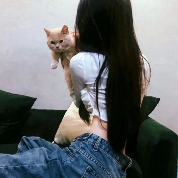 甲贺忍法帖第一季